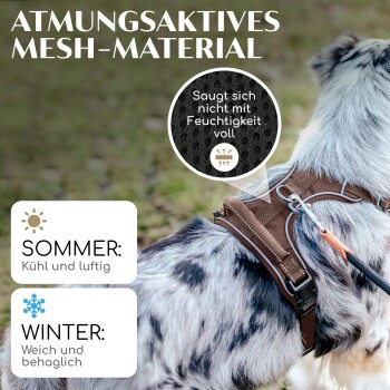Hund in einem braunen atmungsaktiven Mesh-Geschirr, mit Sommer 'Kühl und luftig' und Winter 'Weich und behaglich' Etiketten.