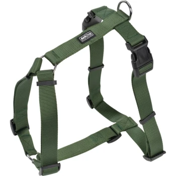 Grünes Haustiergeschirr mit verstellbaren Riemen und einer stabilen Schnalle, konzipiert für Komfort und Kontrolle während der Spaziergänge.