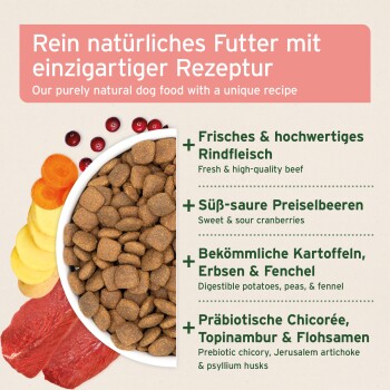 Ein Haufen brauner, dreieckiger Tierfutterkibble auf einem weißen Hintergrund.