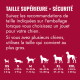 Tableau de tailles en animalerie : texte français « TAILLE SUPÉRIEURE = SÉCURITÉ » avec silhouettes de chiens étiquetées XS–XXL et plages de poids.