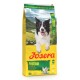 Gelbe Josera Festival Hundefutter-Tüte für ausgewachsene Hunde mit lächelndem Border Collie; sichtbarer Text: Josera, Festival, Adult, All Sizes, 80%.