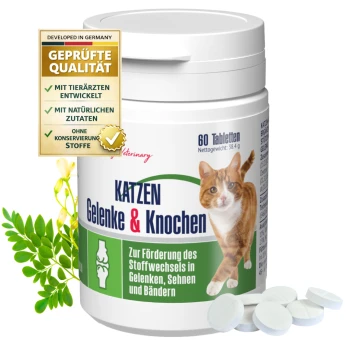 Behälter mit GIGI Katzen Gelenk- und Knochen-Tabletten, mit einem Katzenbild, dem Text "KATZEN Gelenke & Knochen" und einem "GMP Certified"-Abzeichen.