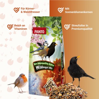 Ein Haufen gemischter Vogelfutter mit verschiedenen Samen, Körnern und Nüssen, ideal zur Fütterung von Haustier-Vögeln.