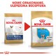 Dwie torby karmy dla psów Royal Canin oznaczone "Junior French Bulldog" i "Puppy French Bulldog," z czerwoną strzałką wskazującą na aktualizację produktu.
