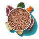 Eine weiße Schüssel, gefüllt mit Haustierfutterpellets, umgeben von Scheiben rohem Fleisch, Apfel, Kartoffel und Karotte, vor einem türkisfarbenen Hintergrund.