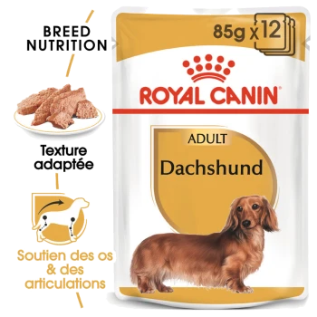 Emballage de nourriture pour chiens adultes Royal Canin Dachshund, présentant une illustration de teckel, avec un texte mettant en avant la nutrition de la race et le soutien des articulations.