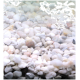 Eine Nahaufnahme von kleinen, glatten, weißen und grauen Kieseln, die im Wasser untergetaucht sind und eine ruhige aquatische Umgebung schaffen.