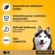 Annonce de nourriture pour chiens sur fond jaune mettant en avant des ingrédients naturels, le soutien immunitaire, la digestion et la mention "100% COMPLET."