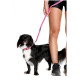 Eine Frau in Sportshorts hält eine rosa Leine, die an einem kleinen schwarz-weißen Hund mit passendem Geschirr befestigt ist.