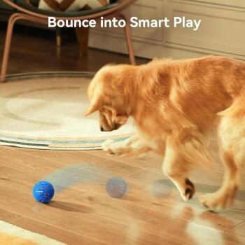 Ein Golden Retriever spielt mit einem blauen, springenden Ball auf einem Holzboden, mit dem Text "Bounce into Smart Play" darüber.