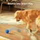 Ein Golden Retriever spielt mit einem blauen, springenden Ball auf einem Holzboden, mit dem Text "Bounce into Smart Play" darüber.