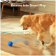 Ein Golden Retriever spielt mit einem blauen, springenden Ball auf einem Holzboden, mit dem Text "Bounce into Smart Play" darüber.