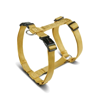 Goldfarbenes Nylon-Hundegeschirr mit schwarzen Kunststoffschnallen, Metall-D-Ringen und Schnallentext „WOLTERS“