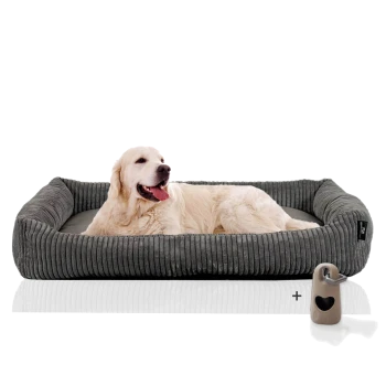 Ein Golden Retriever liegt bequem auf einem plüschigen, grauen Hundebett mit einem gerippten Design, begleitet von einem kleinen herzförmigen Schloss.