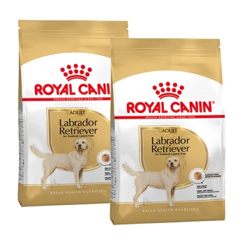 Zwei Tüten Royal Canin Labrador Retriever Adult Hundefutter, mit einem goldenen Design und Bildern eines Labradors.