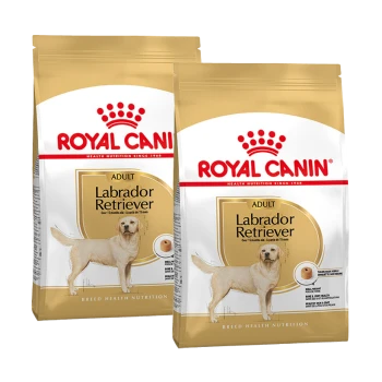 Zwei Tüten Royal Canin Labrador Retriever Adult Hundefutter, mit einem goldenen Design und Bildern eines Labradors.