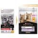 Image de deux sacs de nourriture pour chatons Purina Pro Plan, l'un étiqueté "Original" et l'autre "Healthy Start", avec deux chatons sur chaque sac.