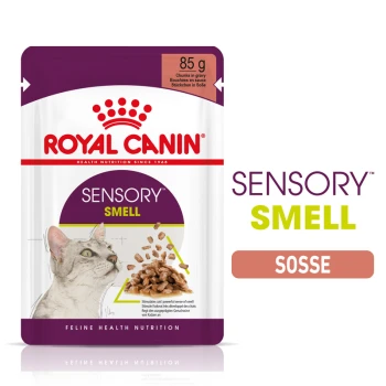 Sensory Smell in Soße für wählerische Katzen 12x85 g Royal Canin Sensory Smell Katzenfutterbeutel, 85g, mit Stückchen in Soße und einem Katzenbild. Text: "Stimuliere den Geruchssinn der Katzen."
