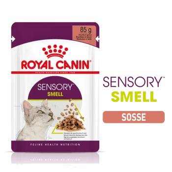 Royal Canin Sensory Smell Katzenfutterbeutel, 85g, mit Stückchen in Soße und einem Katzenbild. Text: "Stimuliere den Geruchssinn der Katzen."