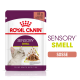 Royal Canin Sensory Smell Katzenfutterbeutel, 85g, mit Stückchen in Soße und einem Katzenbild. Text: "Stimuliere den Geruchssinn der Katzen."