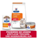 Hill's Prescription Diet Urinary Care für Katzen: Trocken- und Nassfutter mit einer Katze, die ein Halsband trägt. Text: "PROBIER UNSER DELIKATES TROCKEN- UND NASSFUTTER."