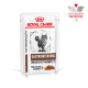 Royal Canin Veterinary Gastrointestinal Katzenfutterbeutel mit dünnen Scheiben in Soße, mit einem Bild einer Katze und dem Etikett "Moderate Calorie".