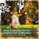 Ein verspielter Hund springt in ein Feld fallender Herbstblätter mit dem Text: "Das ideale Supplement für eine ausgewogene Ernährung."
