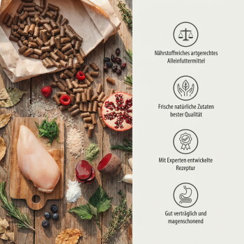 Hundefutter-Zutaten auf einer Arbeitsplatte, einschließlich Trockenfutter, Hähnchen, Obst und Gemüse, mit Text, der Qualität und Verdaulichkeit hervorhebt.