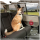 Hund in einem Auto mit einem beigen Türbezug, Netzfach und rotem Gegenstand. Enthält 2 verstellbare, wasserdichte und schmutzabweisende Bezüge.