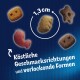Bild von bunten Haustierleckereien in verschiedenen Formen, Größe 1,3 cm, mit dem Text: "Köstliche Geschmacksrichtungen und verlockende Formen."