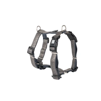 Graues verstellbares Hundegeschirr mit schwarzen Kunststoffschnallen und Metallringen, vorne an der Schnalle mit "Max & Molly" beschriftet.