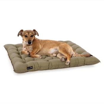 Ein entspannter brauner Hund liegt auf einem plüschigen, olivgrünen Haustierbett mit gestepptem Design, das Komfort und Stil zeigt.