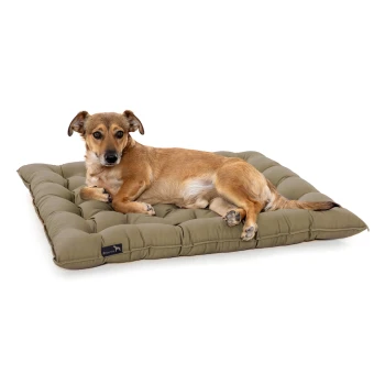 Ein entspannter brauner Hund liegt auf einem plüschigen, olivgrünen Haustierbett mit gestepptem Design, das Komfort und Stil zeigt.