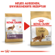 Bild von zwei Beuteln Royal Canin Cocker Hundefutter, das ein neues Design auf der rechten Seite mit dem Text "NEUES AUSSEHEN, UNVERÄNDERTE REZEPTUR" zeigt.