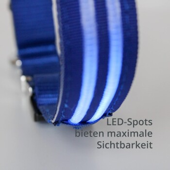 Nahaufnahme eines blauen Haustierhalsbands mit LED-Punkten für Sichtbarkeit, mit dem Text "LED-Spots bieten maximale Sichtbarkeit."