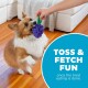 Ein verspielter Corgi greift ein traubenförmiges Spielzeug aus der Hand einer Person, mit einem blauen Kreistext, der sagt: "TOSS & FETCH FUN nach Leckereien."