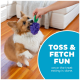 Ein verspielter Corgi greift ein traubenförmiges Spielzeug aus der Hand einer Person, mit einem blauen Kreistext, der sagt: "TOSS & FETCH FUN nach Leckereien."