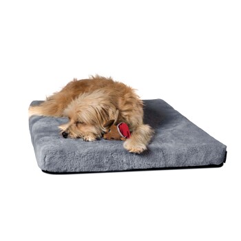 Ein flauschiger Hund schläft auf einem weichen grauen Haustierbett und kuschelt mit einem kleinen braunen Spielzeug mit rotem Hut.