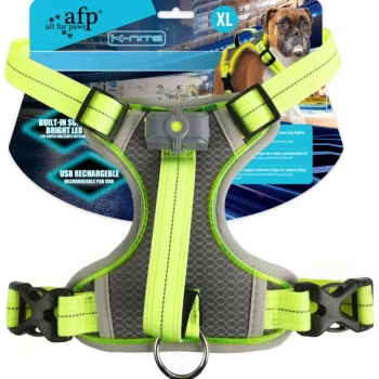 Neongelbes reflektierendes Hundegeschirr mit LED-Licht und D-Ring; Verpackungstext: 'afp all for paws', 'Light Up Harness', 'XL'