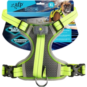 Neongelbes reflektierendes Hundegeschirr mit LED-Licht und D-Ring; Verpackungstext: 'afp all for paws', 'Light Up Harness', 'XL'