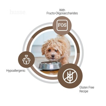 Eine Nahaufnahme von Haustierfutter-Kibble, die einen Haufen brauner, runder Stücke zeigt, mit einem vergrößerten Abschnitt, der ihre Größe von 12mm x 10mm angibt.