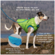 Ein Hund in einer grünen, gepolsterten Jacke steht auf Gras mit einer blauen Leine, ideal für aktive Hunde bei kaltem Wetter und kompatibel mit einem Kurgo-Fleece.