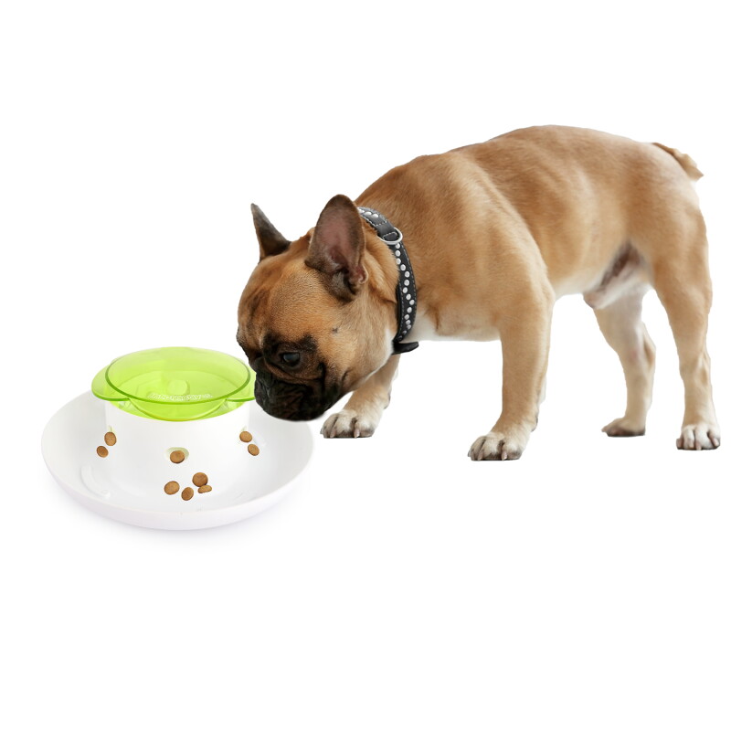 All for paws Interactives – Push4Meal Dispenser
