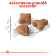 Drei Haustierfutter-Kroketten (Dreieck, Quadrat, Stern) auf einem skizzierten Gitter, mit "ODPOWIEDNIA WIELKOŚĆ KROKIETÓW" darüber.