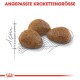 Drei dreieckige Haustierfutterkroketten werden auf einem skizzierten Maßleitfaden angezeigt, mit dem Text 'ANGEPASSTE KROKETTENGRÖSSE' darüber.