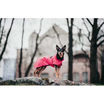 Hot pink raincoat cheap