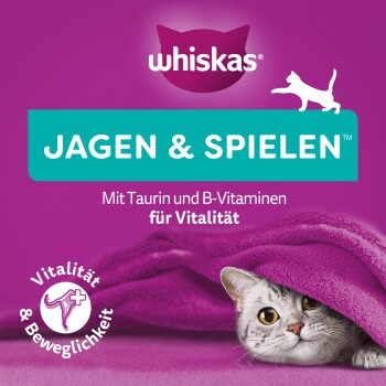 Whiskas Katzenfutterverpackung zeigt eine verspielte graue Katze unter einer lila Decke, mit "JAGEN & SPIELEN" und Nährstoffinformationen für Vitalität.