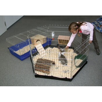 Ein Kind interagiert mit einem grau-weißen Kaninchen in einem geräumigen, mehrteiligen Haustiergehege, das mit Holzspänen gefüllt ist.