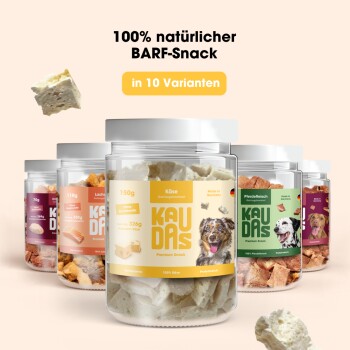 Hundefutter in einer Edelstahlschüssel, mit herausfallendem Futter und spritzendem Wasser, begleitet von einem Text, der die Hydration für den Geschmack fördert.