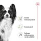 Een zwart-witte Papillon hond met grote oren, naast tekst: 'Gezond immuunsysteem,' 'Gezonde tanden,' 'Optimale vitaliteitssteun.'